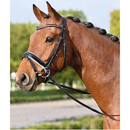 Produktbild von Trense MASSA Busse