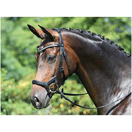 Trense MODENA – Bild 1 von 5