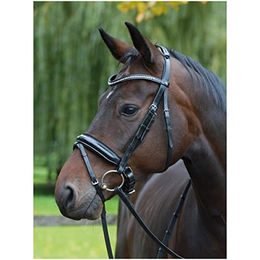 Trense Monza Busse – Bild 1 von 3