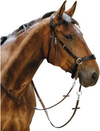 Produktbild von Trense Norton Bitless