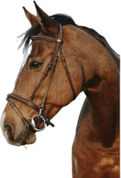 Produktbild von Trense Norton Club Easy