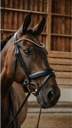 Produktbild von Trense Norton Diams