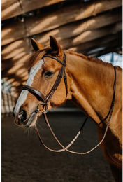 Produktbild von Trense Norton Hunter Fancy