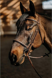 Produktbild von Trense Norton Hunter Soft