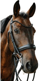 Produktbild von Trense Norton Onyx