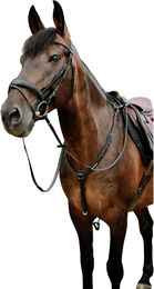 Produktbild von Trense Norton Pop