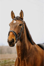 Produktbild von Trense Norton Strass V