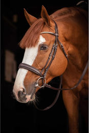 Produktbild von Trense Pénélope Daily Strass