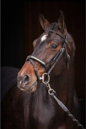 Produktbild von Trense Pénélope Symphonie