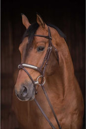 Produktbild von Trense Pénélope Symphonie