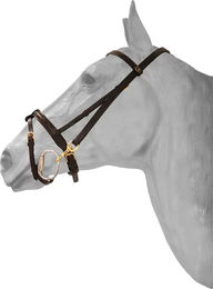 Produktbild von Trense Präsentation Anatomischer Karabinerhaken HFI