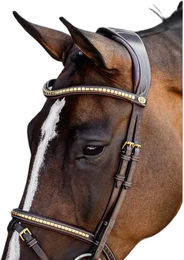 Produktbild von Trense PS of Sweden Antwerp 2.0