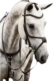 Produktbild von Trense PS of Sweden Athens