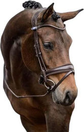 Produktbild von Trense PS of Sweden GP