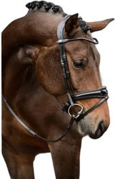 Produktbild von Trense PS of Sweden GP