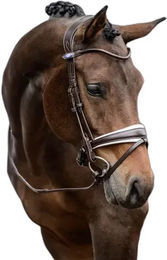 Produktbild von Trense PS of Sweden GP