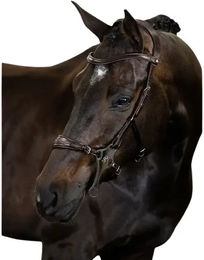 Produktbild von Trense PS of Sweden Hackamore