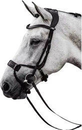 Trense PS of Sweden High Jump – Bild 1 von 5