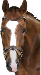 Trense PS of Sweden London – Bild 1 von 3