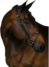 Trense PS of Sweden Mary Lou By Henrik Von Eckermann – Bild 1 von 6