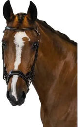 Trense PS of Sweden Pioneer – Bild 1 von 3