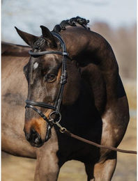 Produktbild von Trense PS of Sweden Stockholm