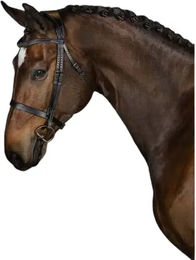 Produktbild von Trense PS of Sweden Wellington