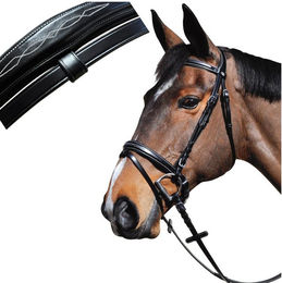 Produktbild von Trense Reiten Boston kombiniert Lexington