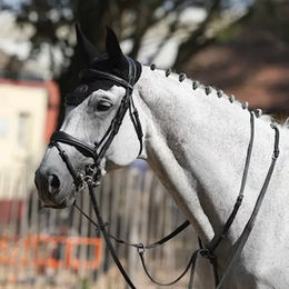 Produktbild von Trensen Brüssel Jump'In Collection One