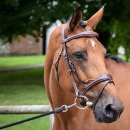 Produktbild von Trensen Brüssel Jump'In Collection One