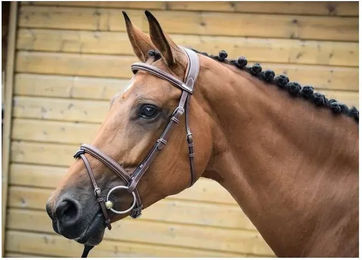 Produktbild von Trensen london Jump'In Collection One