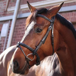 Produktbild von Trensen paris Jump'In Collection One