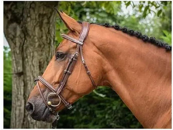 Produktbild von Trensen paris Jump'In Collection One