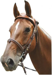 Produktbild von Trensen Reiten Eric Le Tixerant Headset