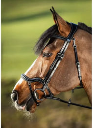 Produktbild von Trensen Reiten HFI Techno
