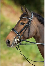 Produktbild von Trensen Reiten HFI Weymouth
