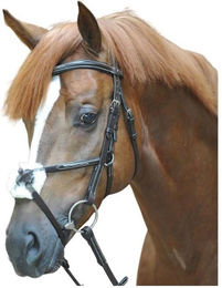 Produktbild von Trensen Reiten Kavalkade Diandro