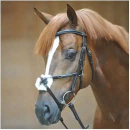 Trensen Reiten Kavalkade Diandro – Bild 1 von 2