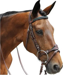 Produktbild von Trensen Reiten kombiniert Flags&Cup Paris