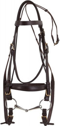 Produktbild von Trensen Reiten Norton Club