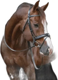 Produktbild von Trensen Reiten Pénélope Daily