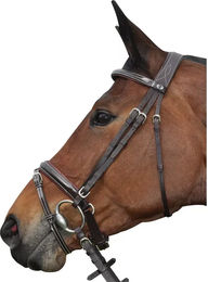 Produktbild von Trensen Reiten Privilège Equitation Cannes