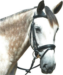 Produktbild von Trensen Reiten Privilège Equitation Le Touquet