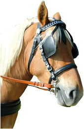 Produktbild von Trensen Reitgeschirr für Pferde Chetak Euro