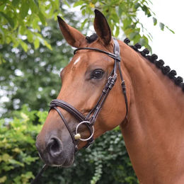 Produktbild von Trensen wednesday Jump'In Collection Week