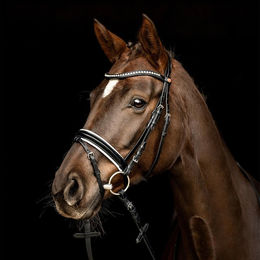 Produktbild von Trensenzaum Kieffer Comfort Lyon