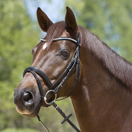 Produktbild von Trensenzaum Kieffer Lea