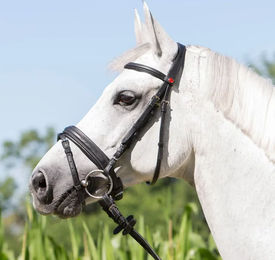 Produktbild von Trensenzaum Kieffer Ultrasoft® Economy