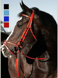 Produktbild von Trensenzaum mit Gummizügeln Daslö