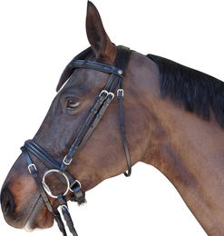 Produktbild von Trensenzaum Privileg Canter Euro - Pull Back